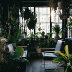 5 Must-Have Indoor Plants in Sweden: Thrive Through Dark Winters (Low-Light & Air-Purifying Picks)