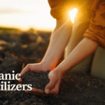 12 Powerful DIY Organic Fertilizers From Kitchen Scraps: The Complete Guide to Transforming Waste Into Plant Gold