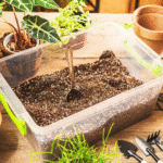 The Ultimate Guide to DIY Potting Mix: Create Perfect Custom Soil for Any Plant