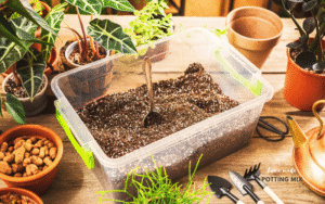 The Ultimate Guide to DIY Potting Mix: Create Perfect Custom Soil for Any Plant 3 Read more about the article The Ultimate Guide to DIY Potting Mix: Create Perfect Custom Soil for Any Plant