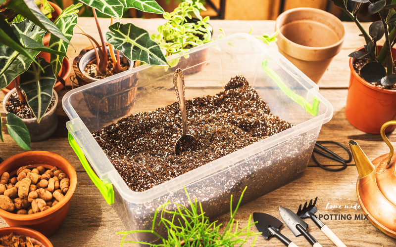 The Ultimate Guide to DIY Potting Mix: Create Perfect Custom Soil for Any Plant 2 DIY potting mix